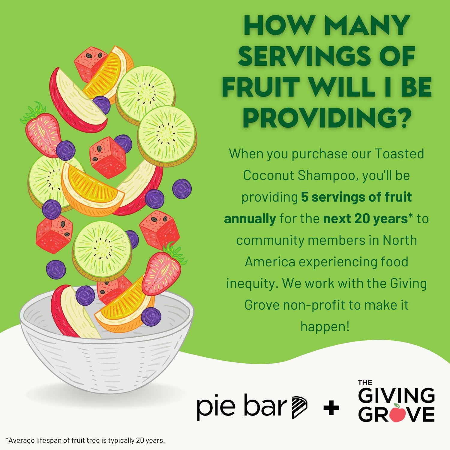 Toasted Coconut Shampoo Pie Bar Beauty Fun & Fresh Beauty Treats